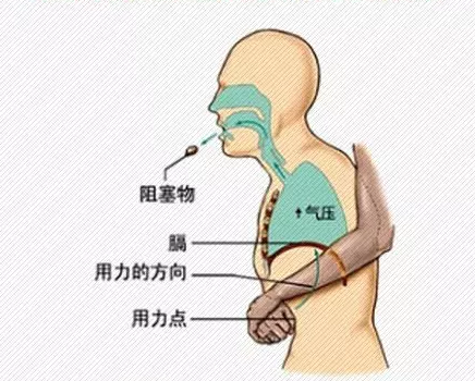 1554974780(1).png